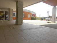 Medium_1 210